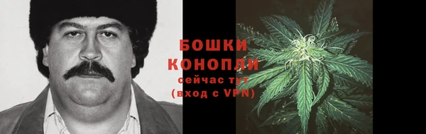 дурь Киреевск