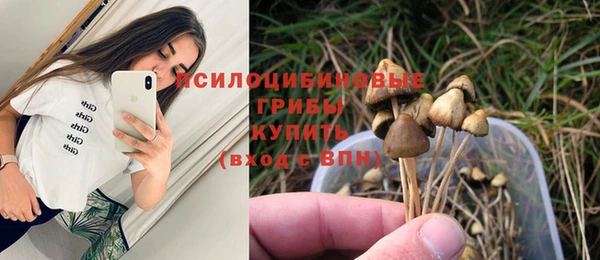 дмт Козловка